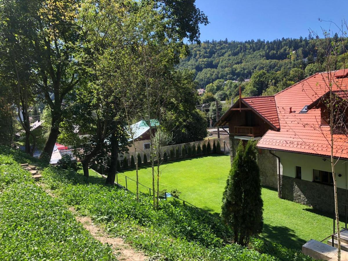 Pensiunea Piscul Cainelui Sinaia Bagian luar foto